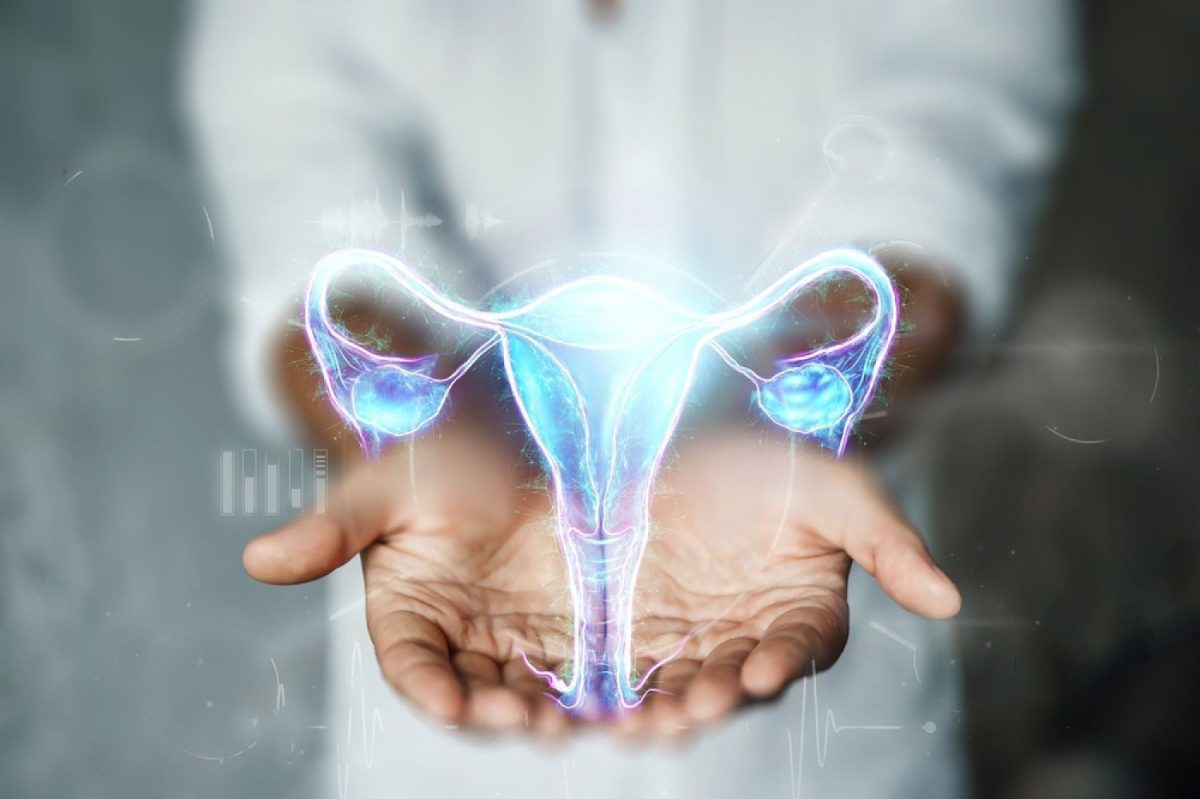 stock-photo-doctor-and-hologram-of-the-female-organ-of-the-uterus-medical-examination-women-s-consultation-2026312586-transformed-1200x799.jpeg